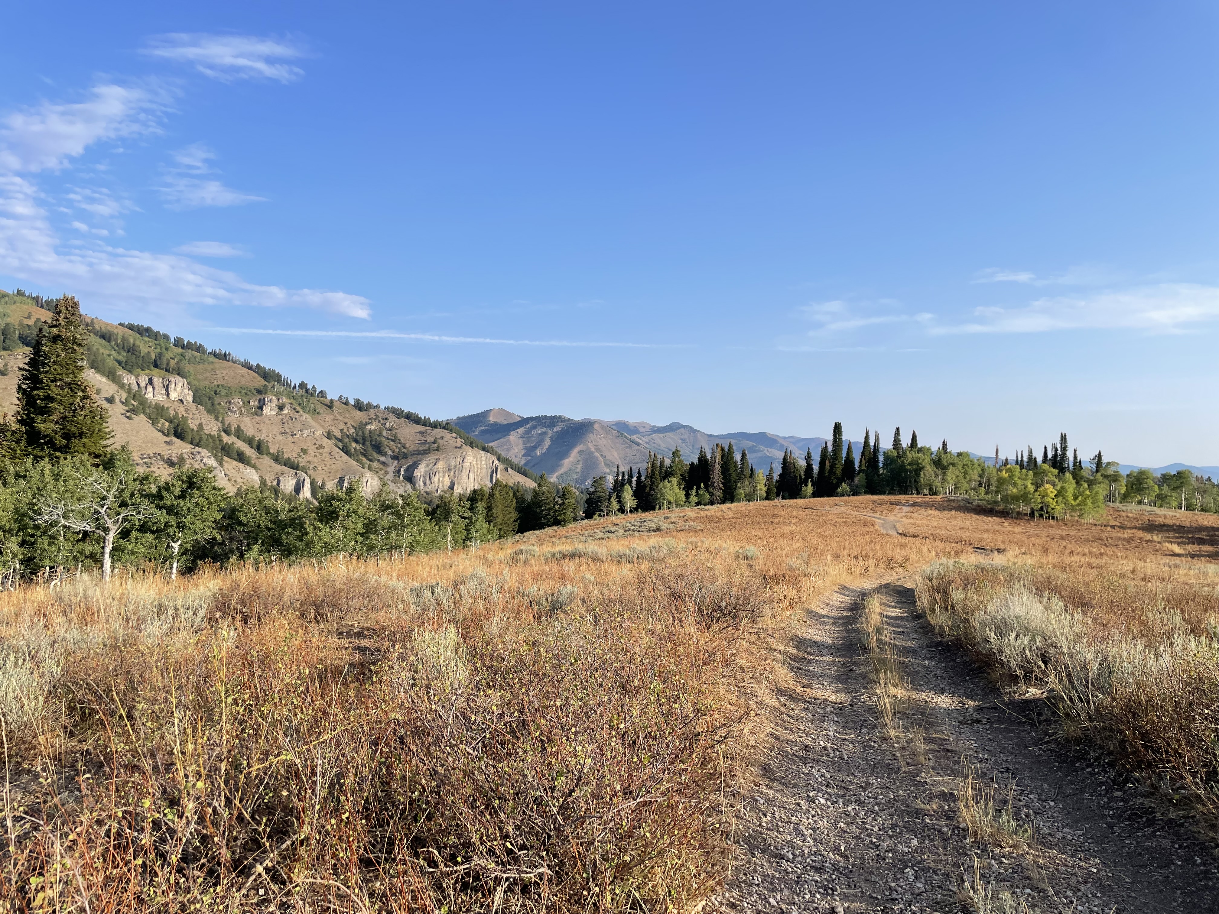 The End of Beginning or Reinforcement Learning